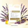 Lavender Fragrance