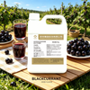 Blackcurrant Flavor
