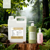 Forest Fragrance Oil 