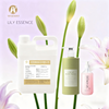 Lily Fragrance Oil 