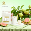 Guava Fragrance Oil for Candle Making - Exotic Tropical Scent Supplier