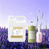 Sage Fragrance Oil 
