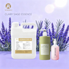 Sage Fragrance Oil 