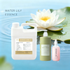 water-lily-fragrance-oil-daily-chemical.jpg