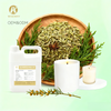 Wholesale Anise Fragrance Oil - Natural Sweet Licorice Herbal Aroma in Bulk