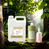 Forest Fragrance Oil 