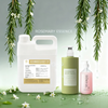 Pure rosemary fragrance oil bottle for herbal cosmetic and personal care formulations