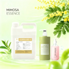 Bottle of premium golden mimosa fragrance oil for handmade soap and luxury candle making
