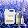 Sage Fragrance Oil 