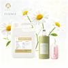 Bulk clean white daisy floral fragrance oil for cosmetic soap candle laundry home care products