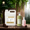 Forest Fragrance Oil 